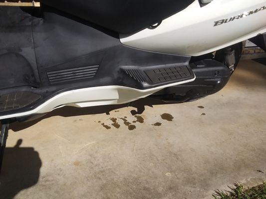 Oil dripping from undercarriage of my bike when I got it home from Monkey Barz and parked it.