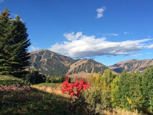 Huge Baldy views from 105 Wedeln Lane