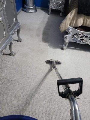 Carpet cleaning and petreatment