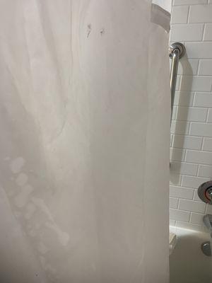 Dirty shower curtain