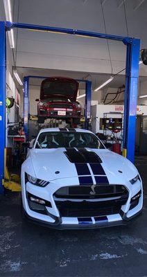 Oil change on a 2020 Shelby GT500