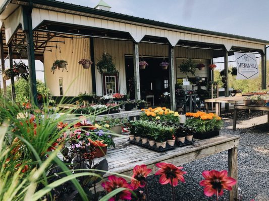 The farmstand