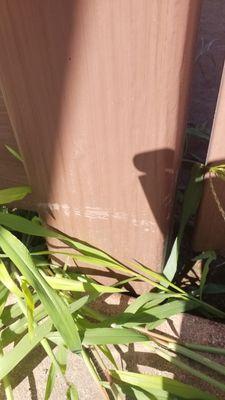 scratches where posts were bound together