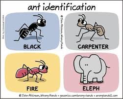 Black Ant Carpenter Ant Fire Ant Eleph Ant