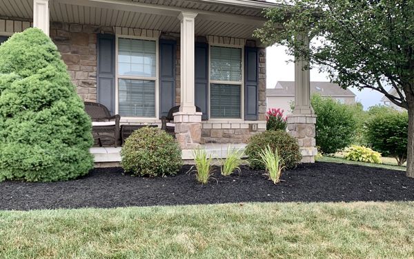 Front cleanup and mulch