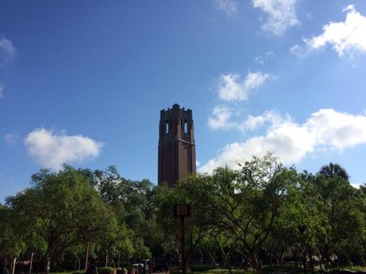 Gorgeous day to be a gator