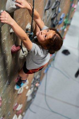 Adaptive Indoor Climbing