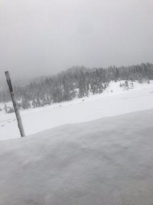 Shaver lake frozen