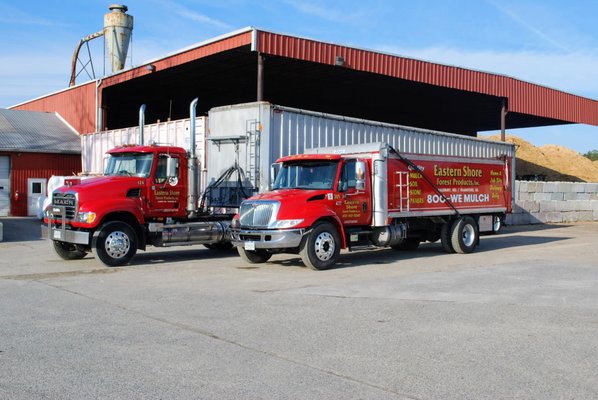 Eastern Shore Forest Products