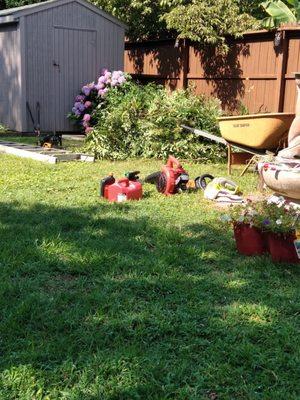 Full clean up of old bushes, weeds and flower bed Before 
Glen Burnie Customer Odi Rear Lawn