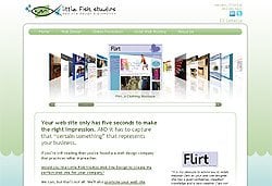 Little Fish Studios Web Design