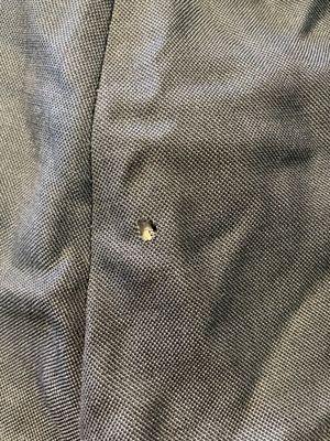 Suit pants with holes