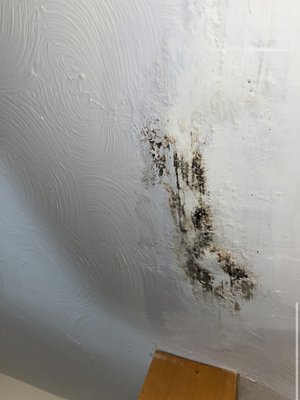 Black mold upstairs