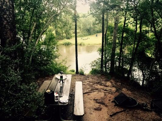 View from the back of the Caddo cabin.