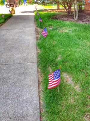 Flags everywhere for Memorial Day