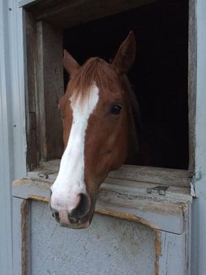 The Hideout Barn & Arena