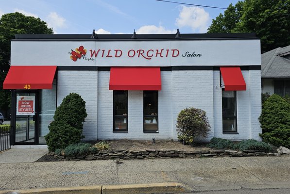 Wild Orchid Salon