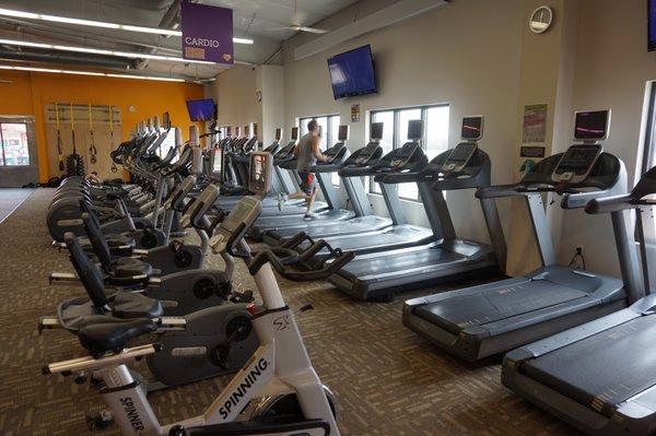 Variety of Cardio Equipment