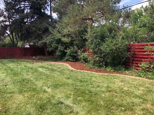 New mulch, edging, trimmed bushes