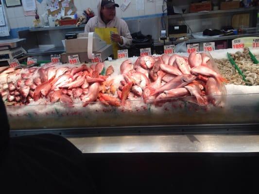 Boston Fish Mkt