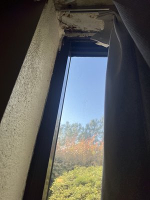 Water damage around the window