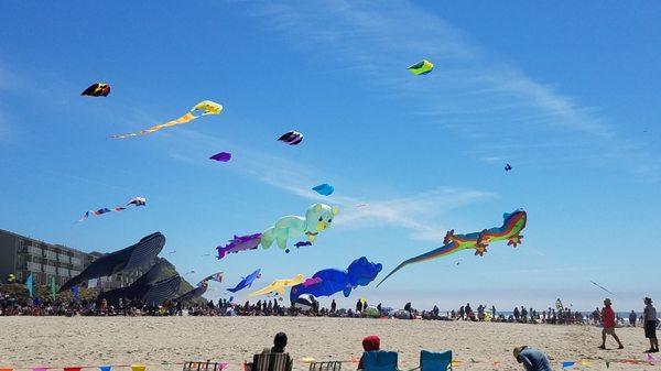 KIte Festival