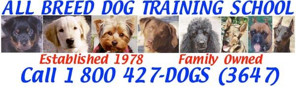 All Breed Dog Training