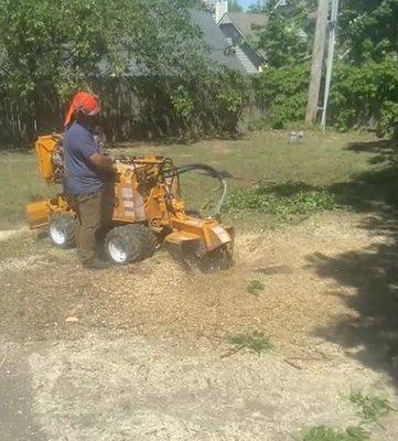 Stump removal