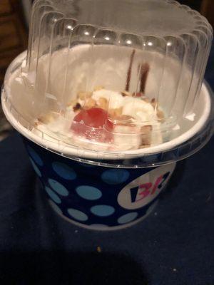 Pathetic "2" scoop sundae