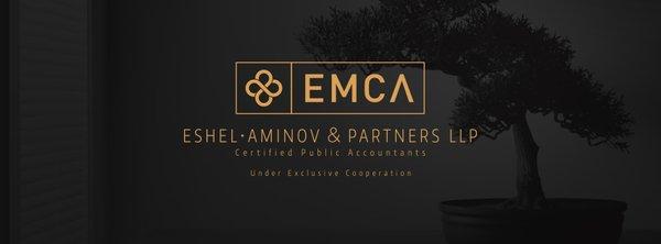 Eshel, Aminov and Partners