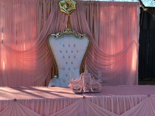 princess backdrop with table cloths to match