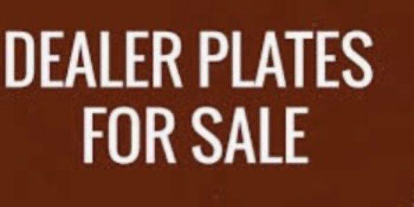 AMERICAN DEALERS PLATES