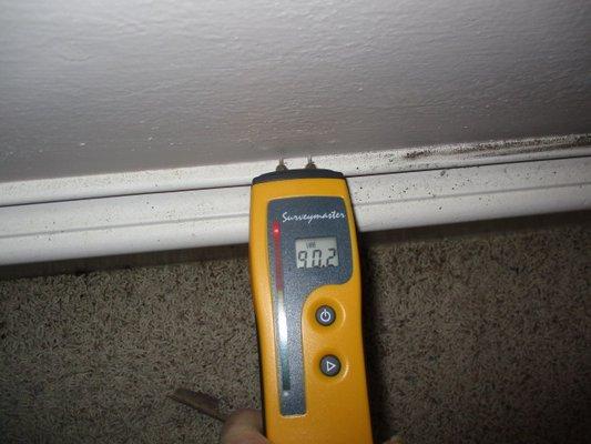 Water Intrusion | Mold Inspection The Woodlands