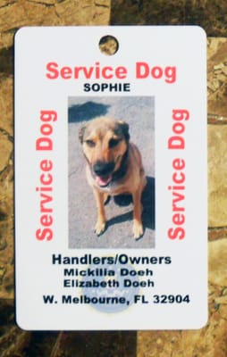 service animal tags emotional support animal tags www.emosdogtags.com cheap animal flights no apartment fee service dog