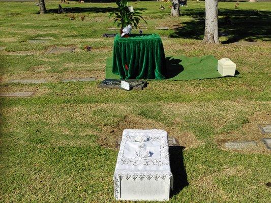 Doves at Graveside Service