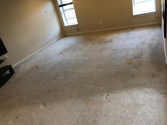 Carpet before.