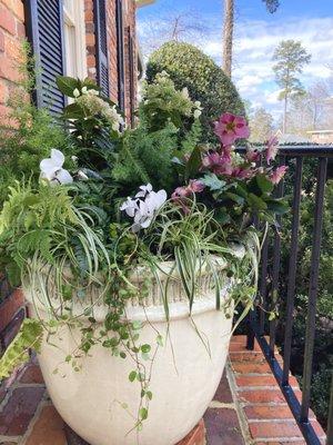 Overflowing winter flowers cream colored container