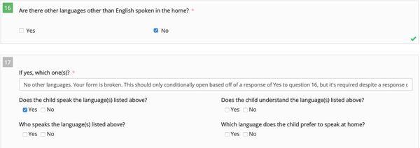 Screenshot of admission assessment demonstrating issues with questionnaire (ex, "Who speaks the language(s) listed above? Yes/No"