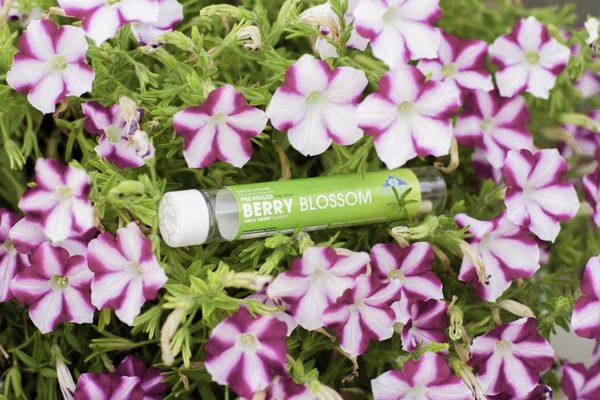 Berry Blossom 2 gram Hemp Preroll