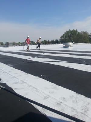 Coating sprayed on an EPDM black rubber roof  after all prep work is completed. The roof will now be seemless