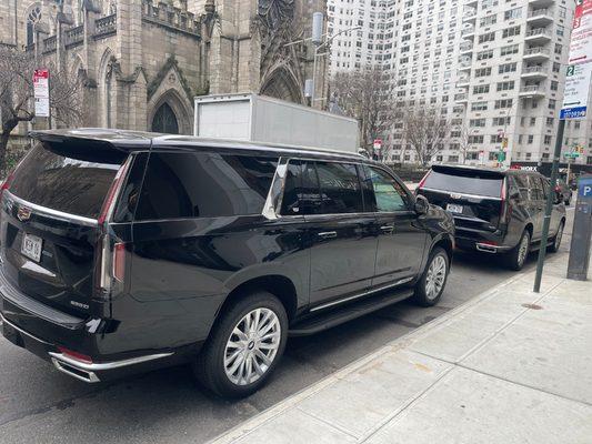 Limousine and Chauffeur Service