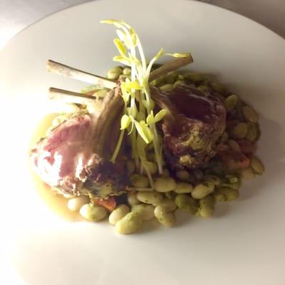 Delicious rack of lamb