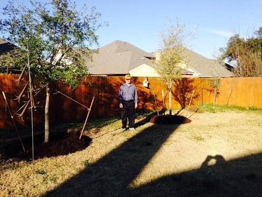 Live Oak planting.