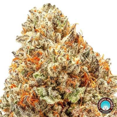 Corleone Kush | Handgrown Excellence | Denver's First Choice for Small Batch, Properly Cured Cannabis