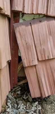 Draft coming into bedroom. Found where a vine had grown and caused soffit board to fall off.