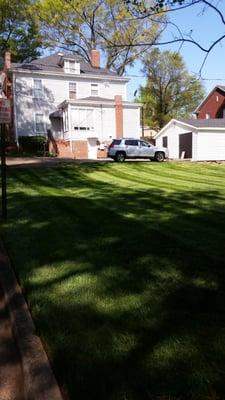 Long time customer in historic Belmont home that has turf maintenance and chemical plan in yearly contract.