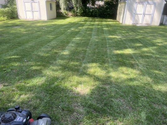 Affordable Lawn Care