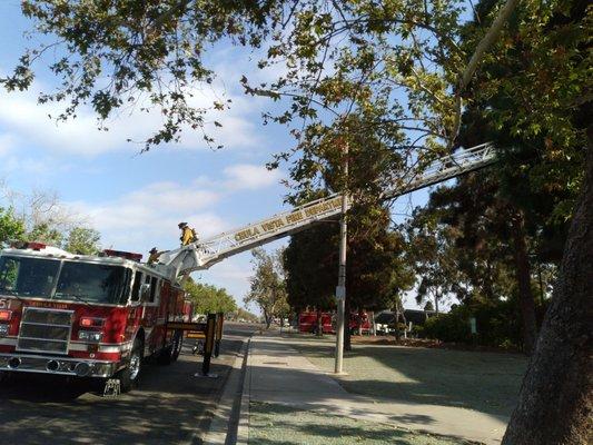 Look at these guys!! This is Chula Vista's Finest  Great Job guys.