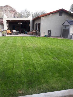 Quality lawn care service