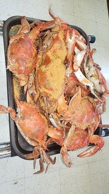 A dozen of heavy, large crabs. Yummy!